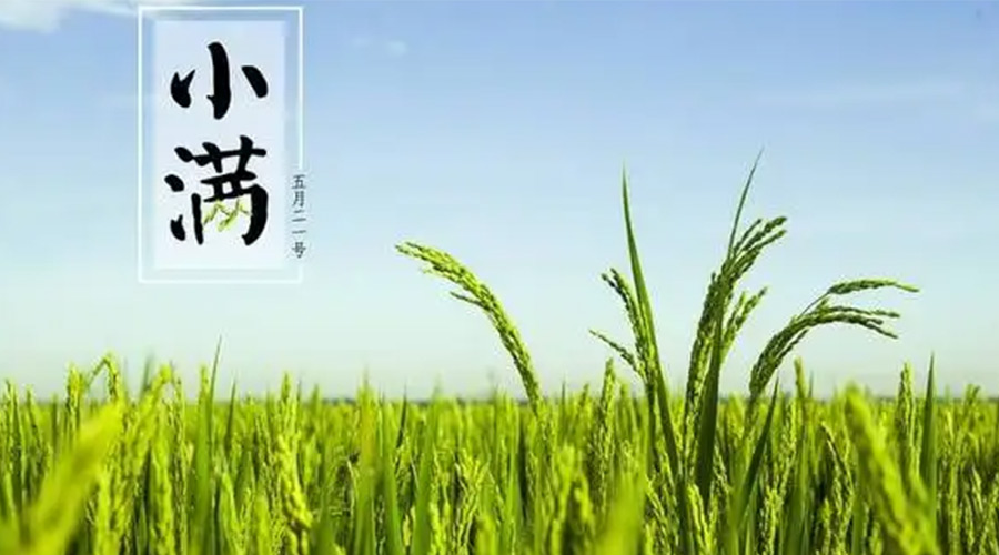 小滿時節(jié)！金環(huán)電器提醒大家要注意的事項