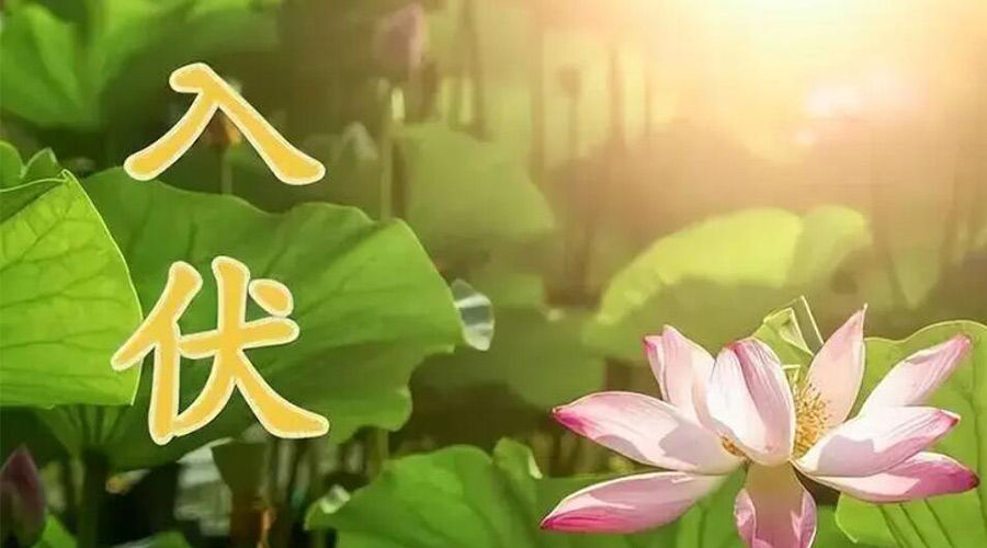 入伏天來襲！金環(huán)電器提醒大家要注意的事項