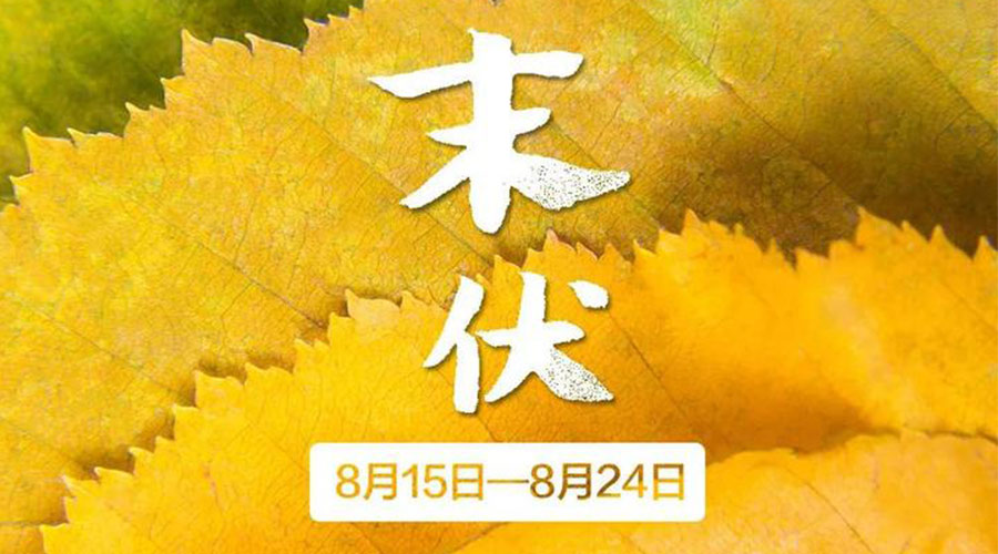 末伏時節(jié)！金環(huán)電器提醒你謹記這些注意事項