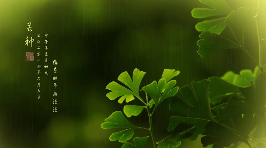 芒種時(shí)節(jié)！金環(huán)電器提醒大家的注意事項(xiàng)