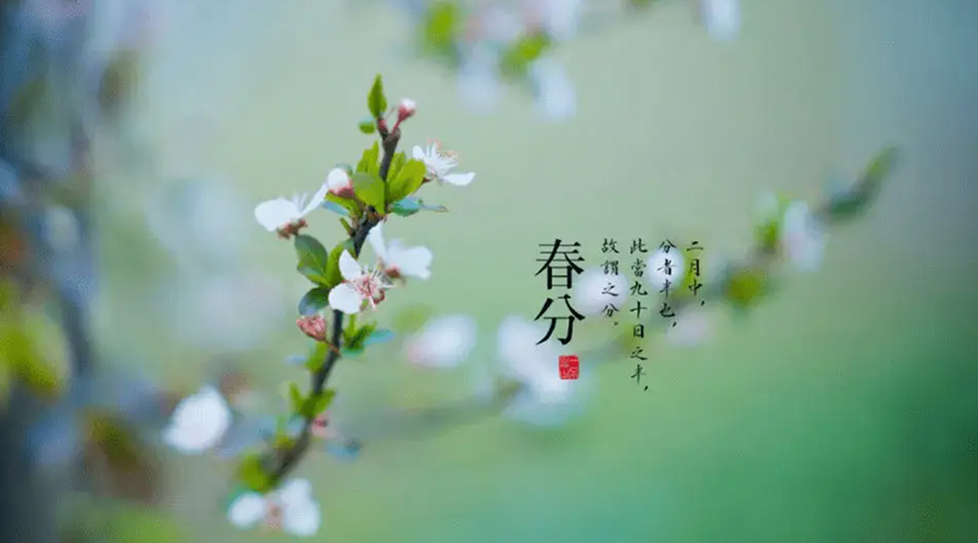 春分雨水多易生菌！金環(huán)電器提醒你衣物要注意處理