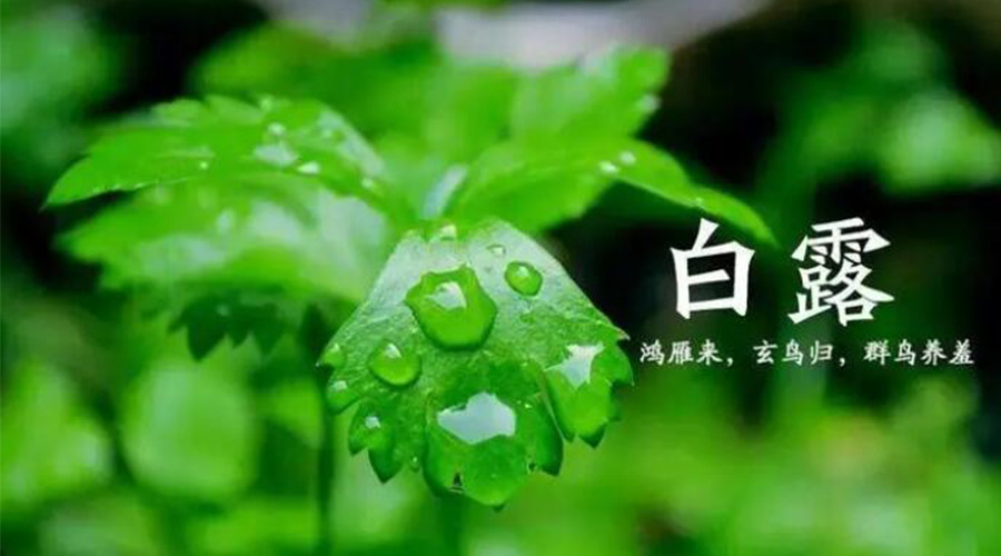白露時節(jié)！金環(huán)電器提醒大家要注意的事項