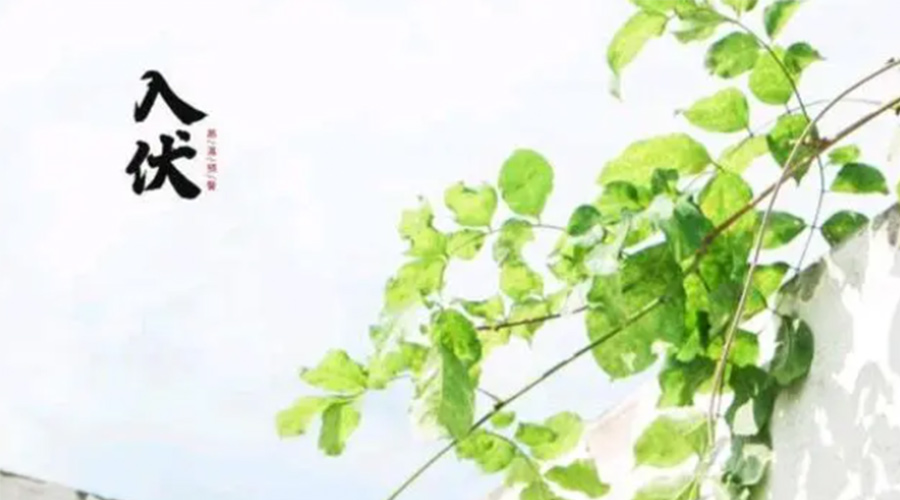 初伏時(shí)節(jié)！金環(huán)電器提醒大家要注意的事項(xiàng)