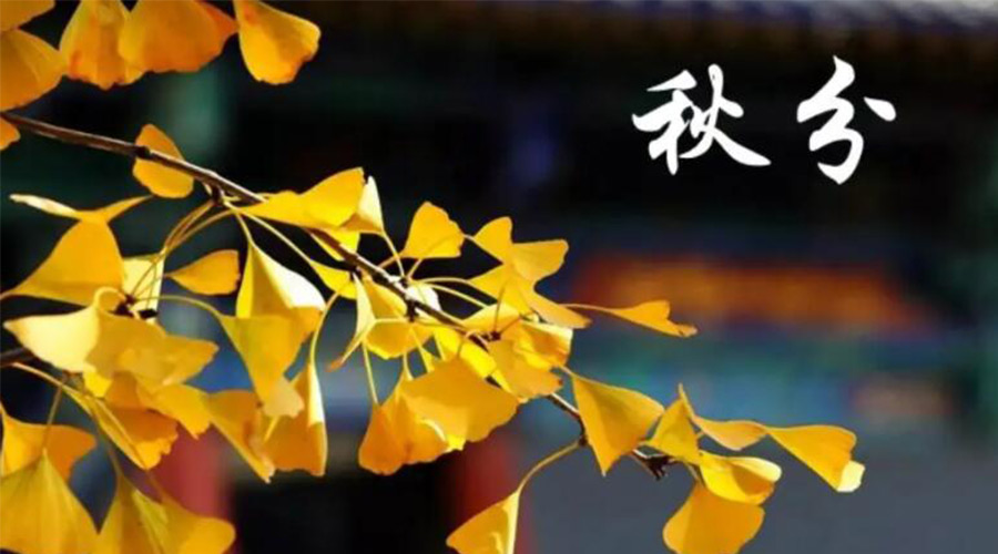秋分時節(jié)！金環(huán)電器提醒大家要注意的事項(xiàng)