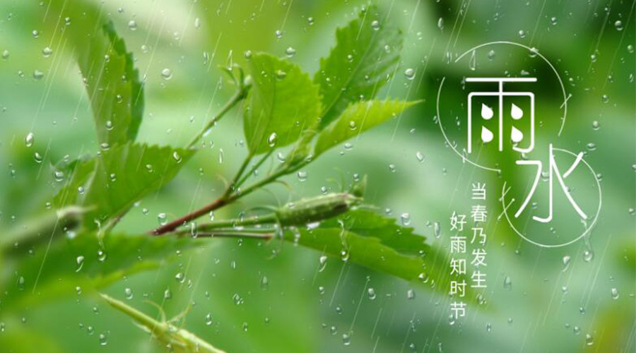雨水時(shí)節(jié)！金環(huán)電器提醒大家要注意的事項(xiàng)