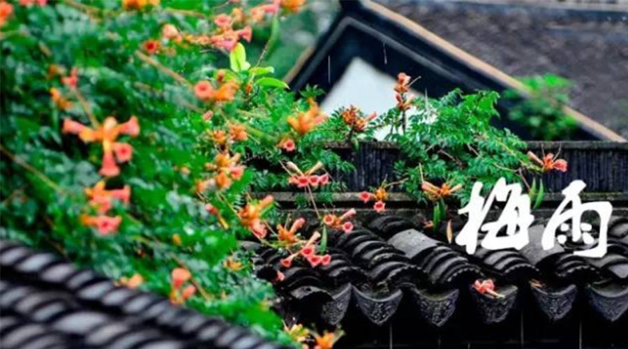 什么是梅雨？梅雨如何形成？  金環(huán)電器告訴你答案